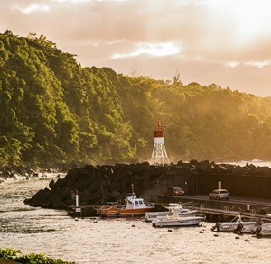 Réception d'appels professionnels pour la Martinique et la Guadeloupe